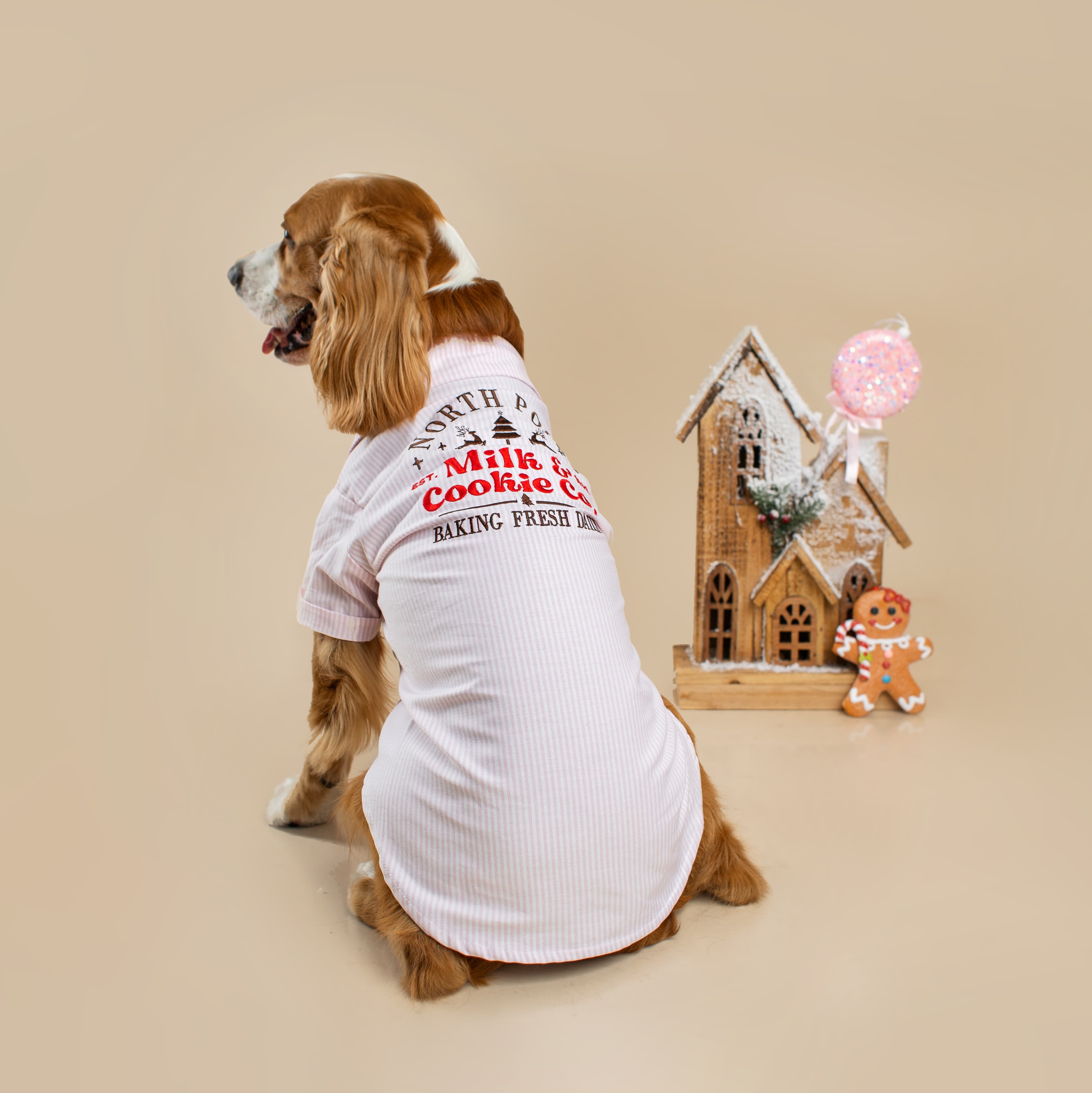 CAMISA ROSA NAVIDEÑO A RAYAS