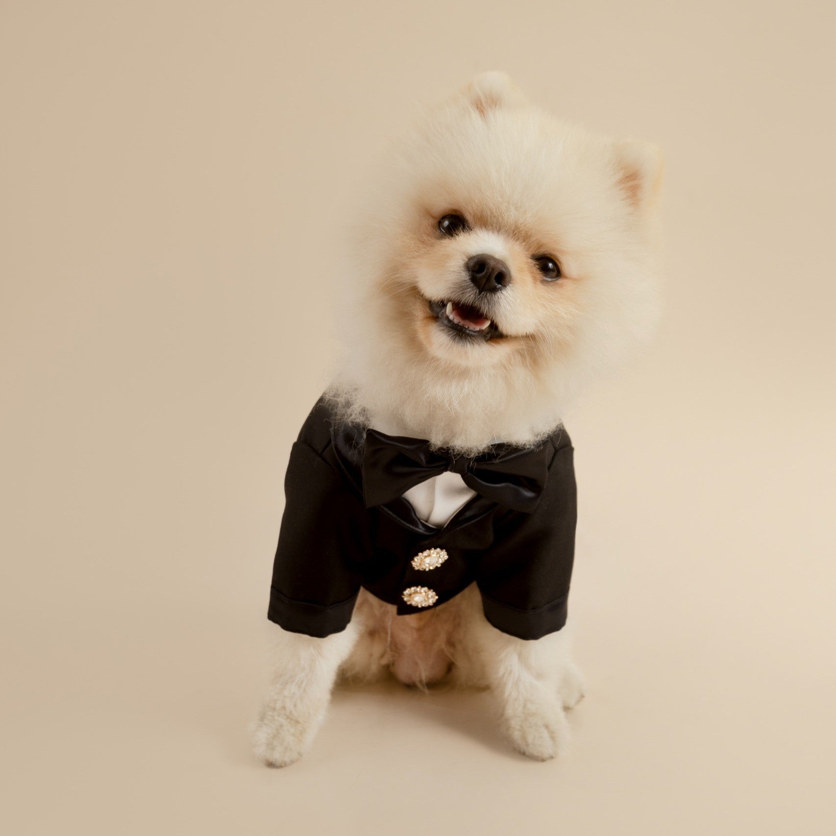 TERNO NEGRO ELEGANTE