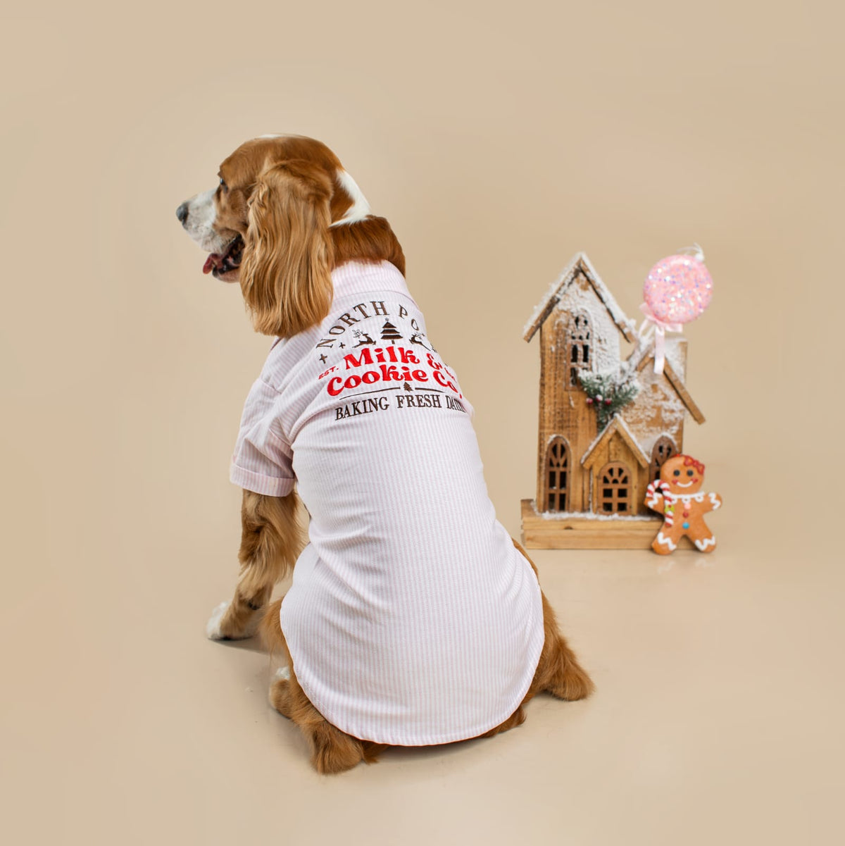 CAMISA ROSADA RAYAS SANTA