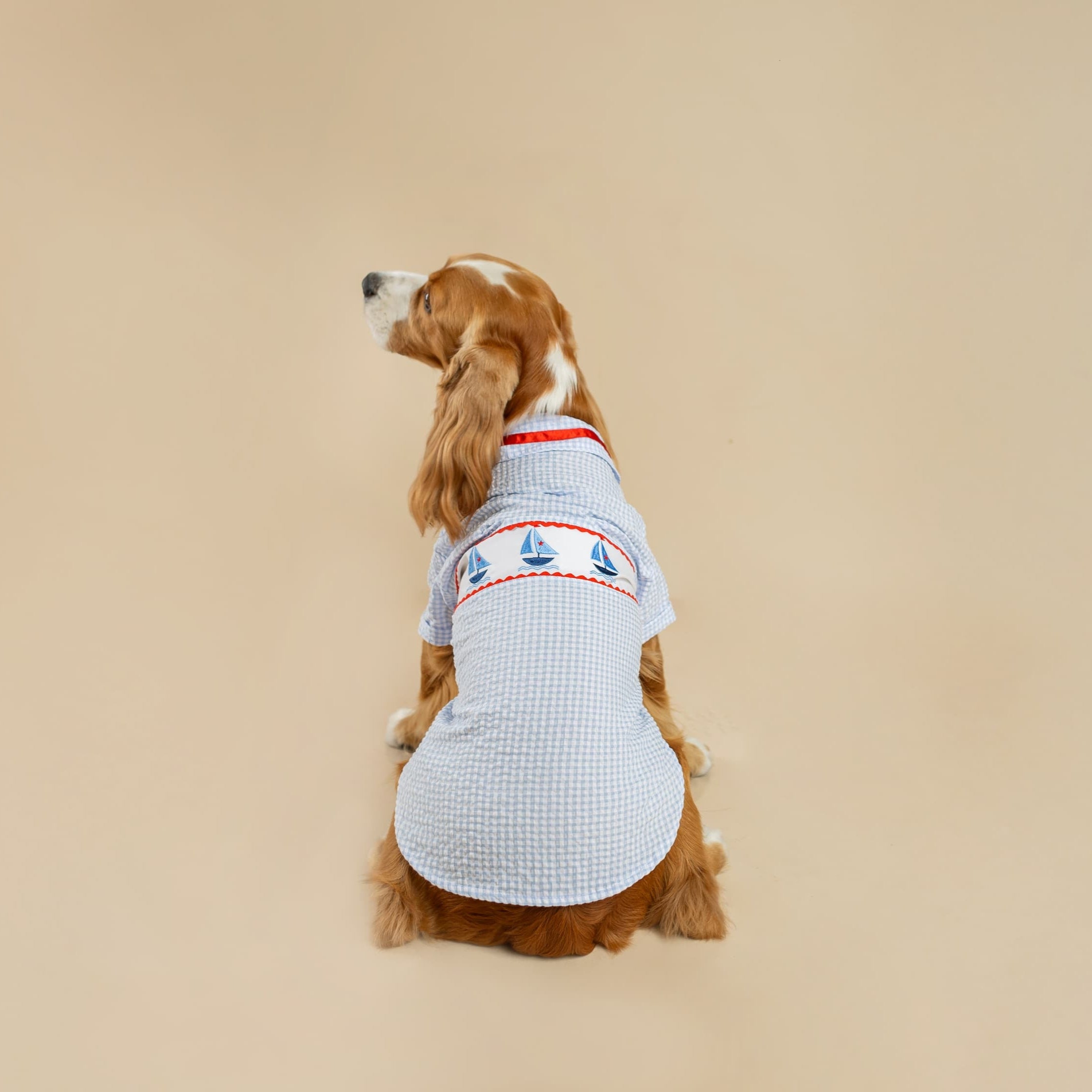 CAMISA VELERO CELESTE