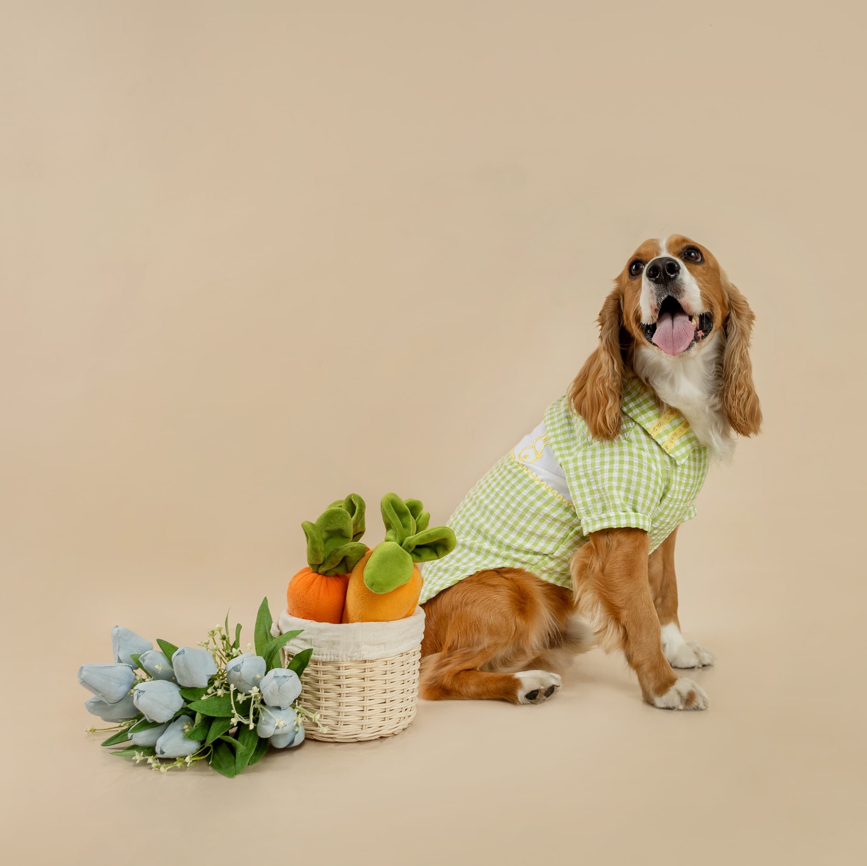 CAMISA DE PASCUA VERDE