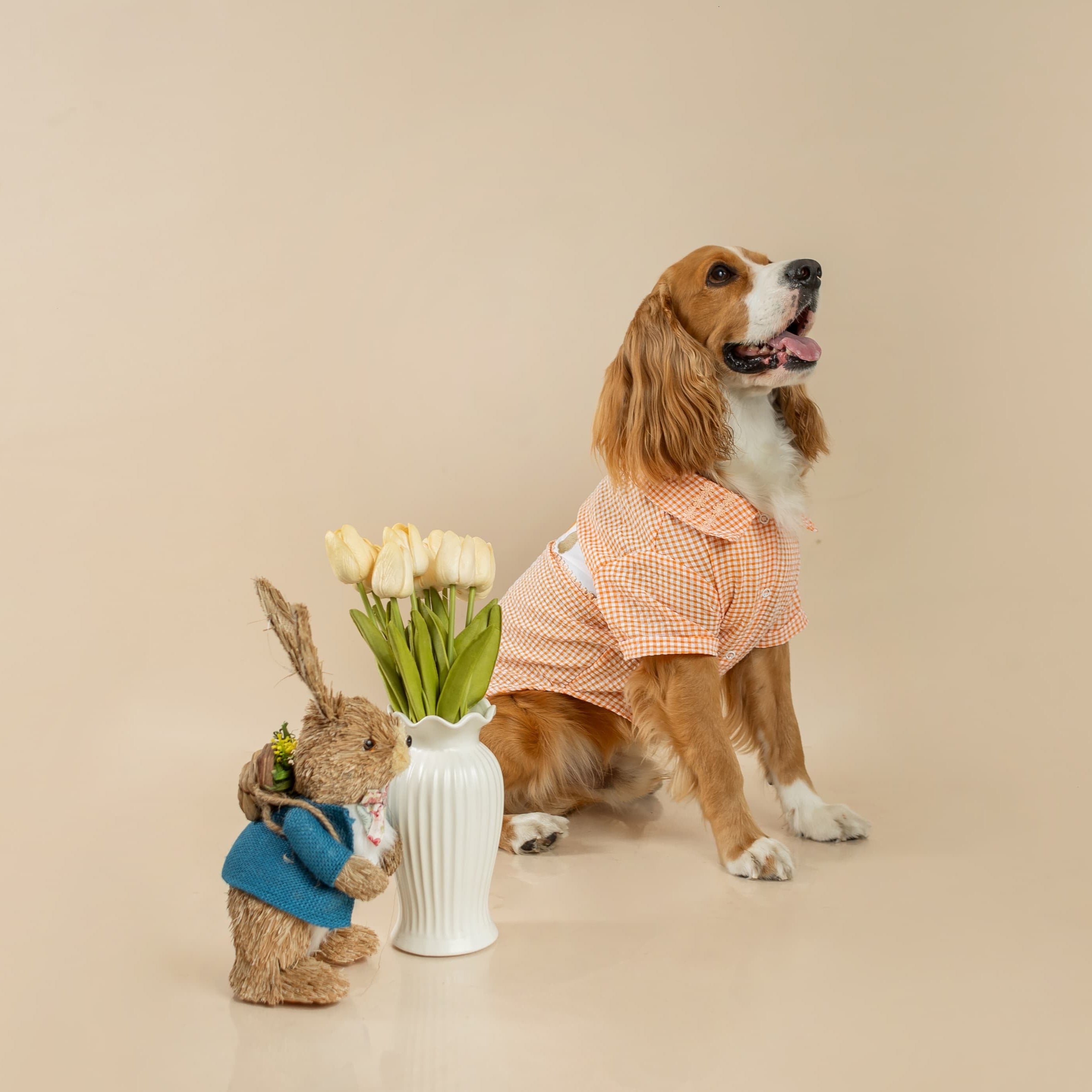 CAMISA DE PASCUA NARANJA