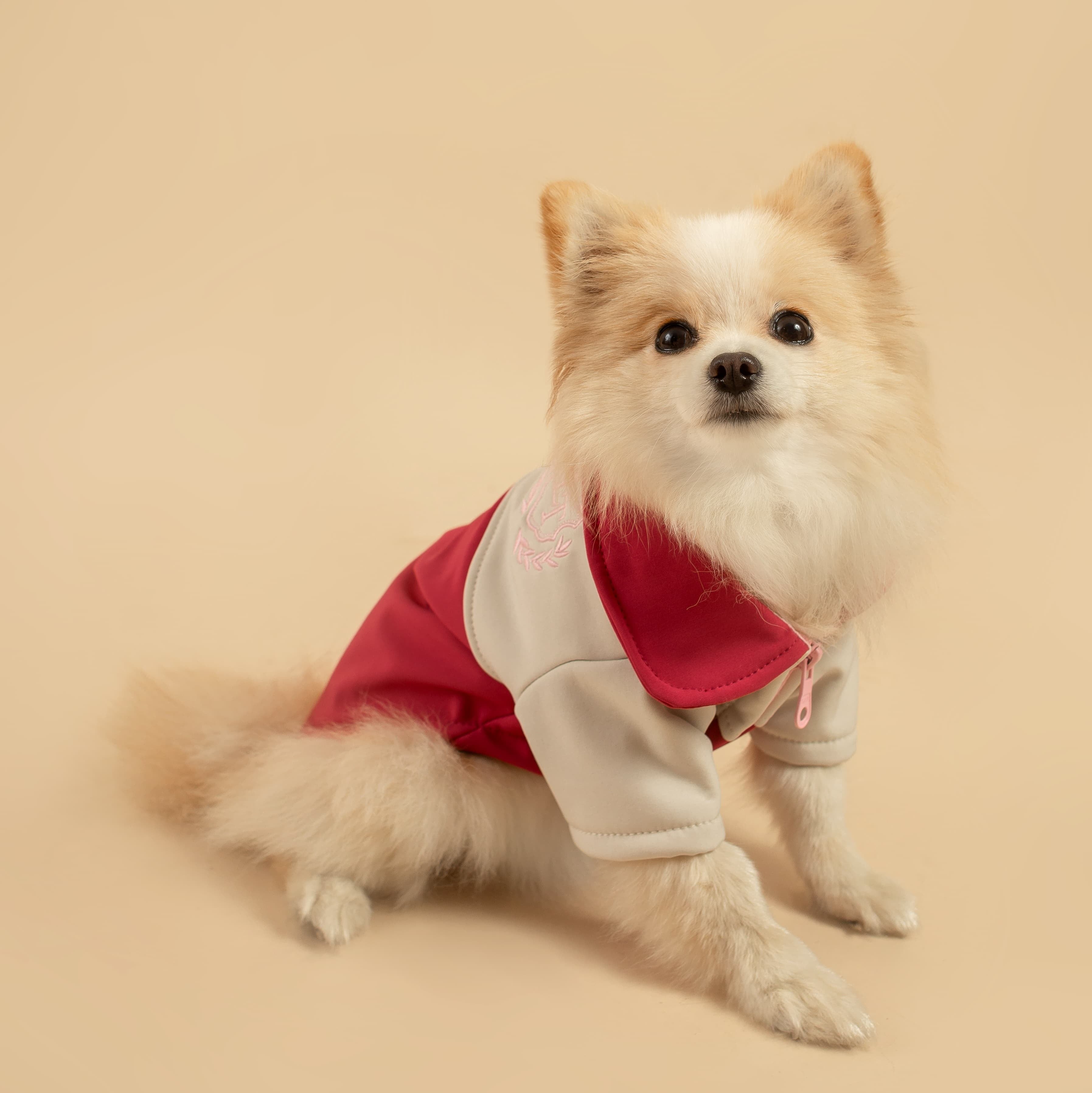 CASACA CORTAVIENTO FUCSIA