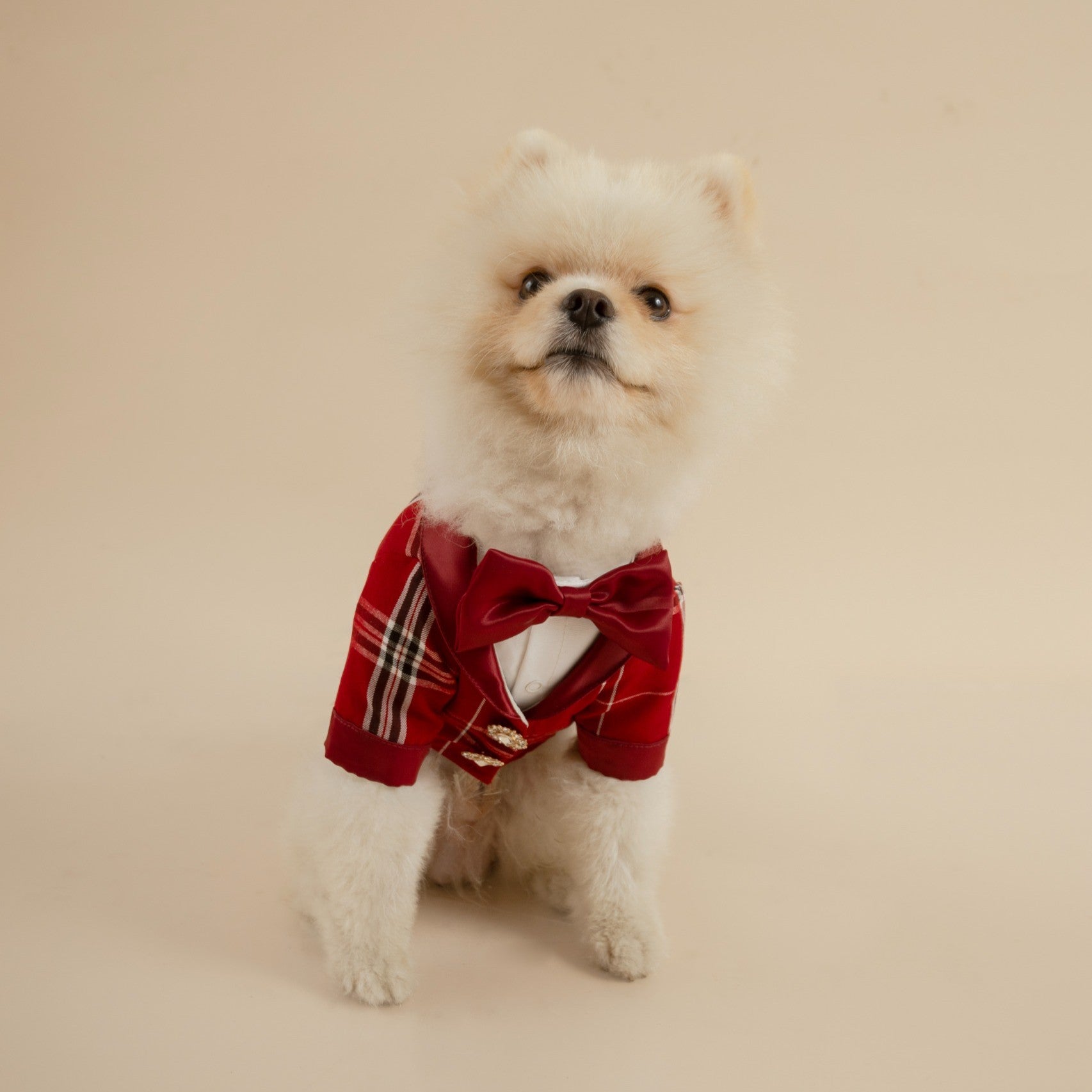 TERNO ROJO A CUADROS