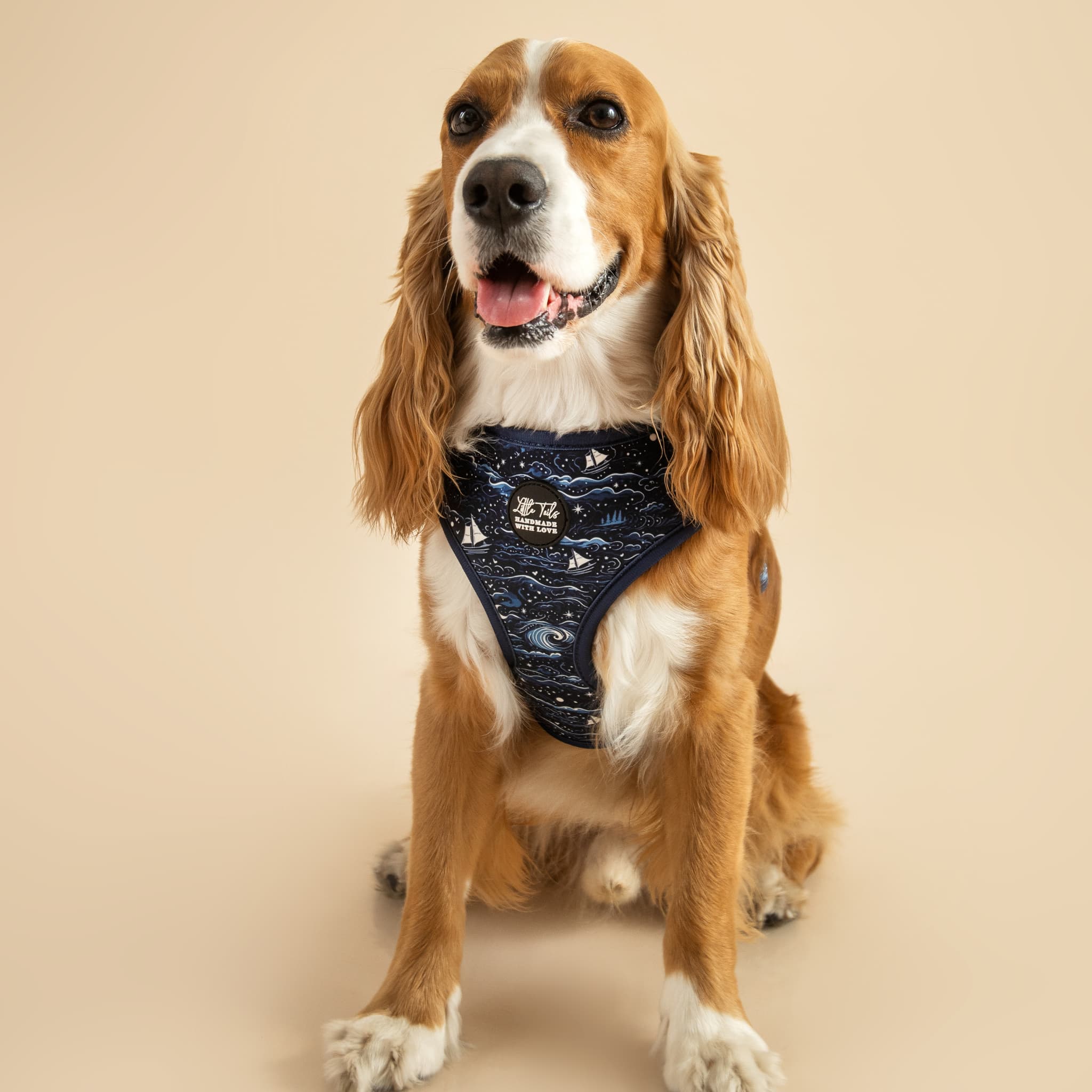 Pack Náutico: Arnés + Correa