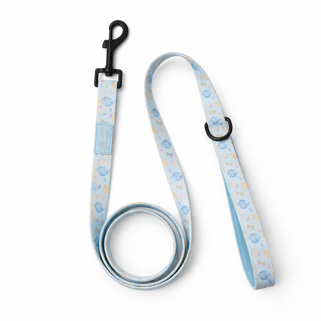 Pack Mediterráneo: Arnés + Correa