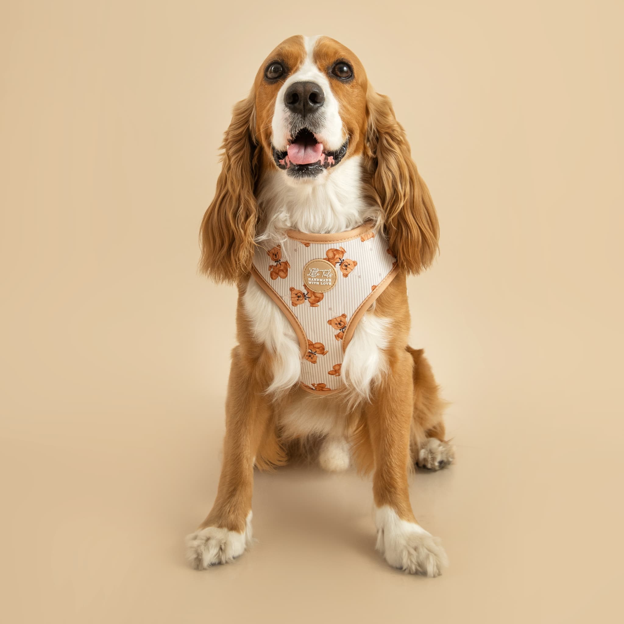 Pack Ositos: Arnés + Correa