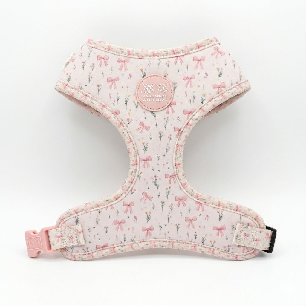 Pack Coquette: Arnés + Correa