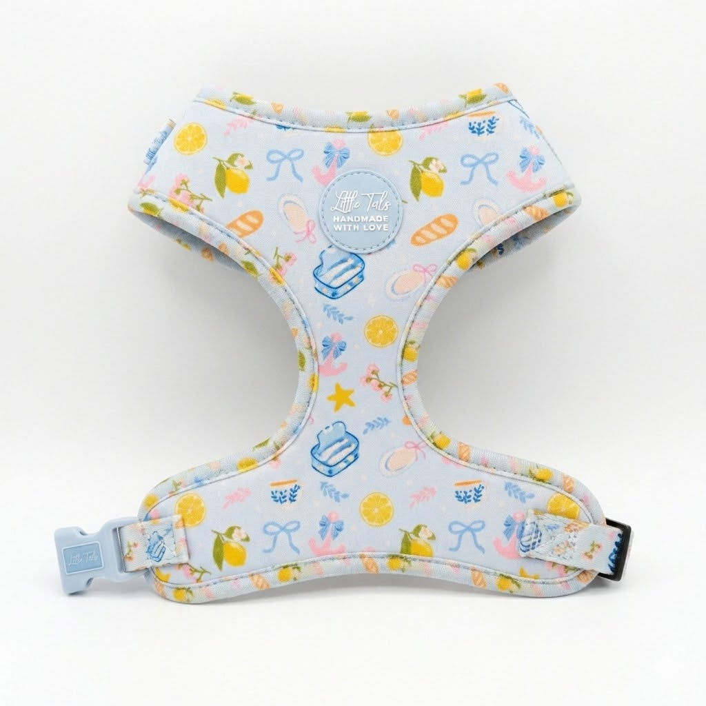 Pack Mediterráneo: Arnés + Correa