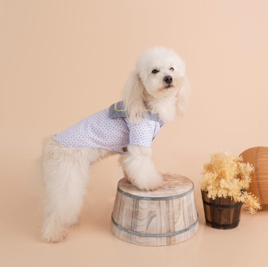 CAMISA MARINERO BLANCO /AZUL VICHY