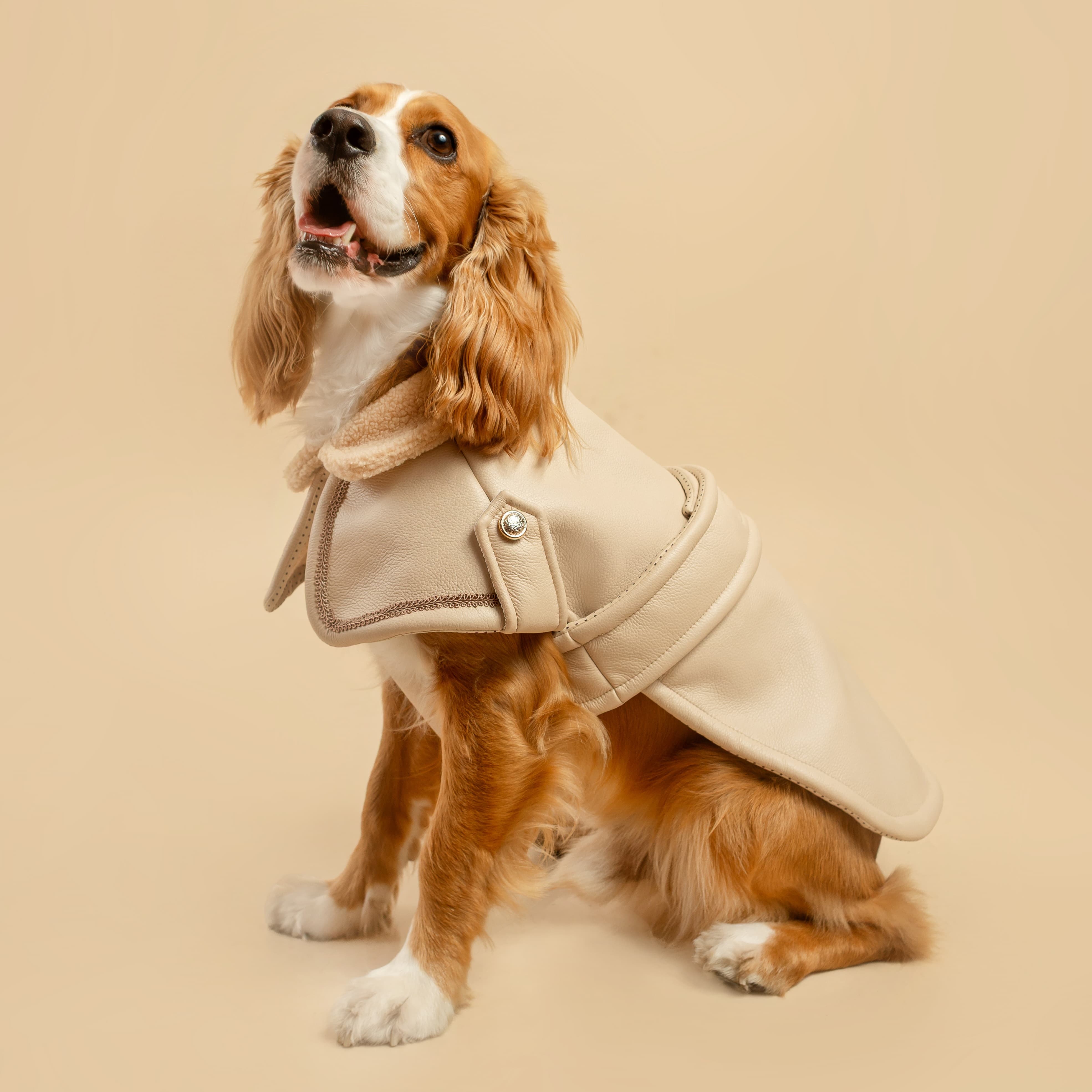 CAPA BEIGE
