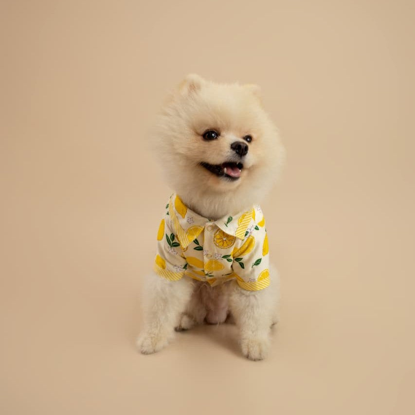 CAMISA AMARILLA DE LIMONES