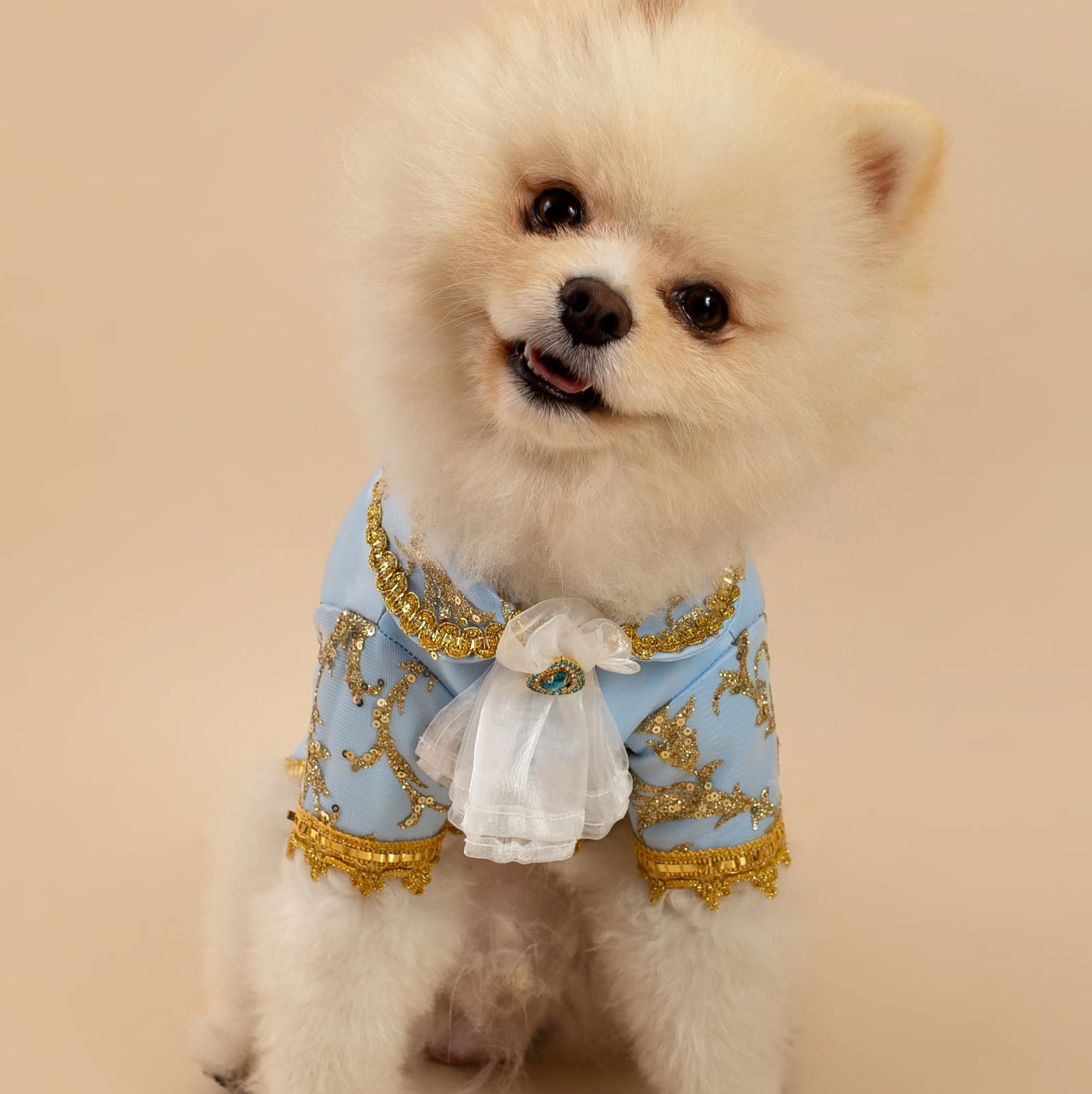 DISFRAZ PRINCIPE